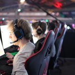 TG19 - gaming